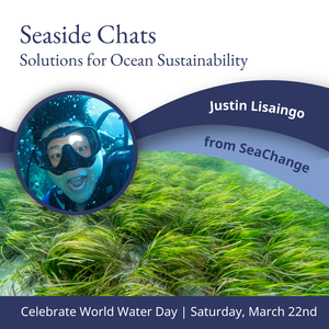 Seaside Chats: Solutions for Ocean Sustainability