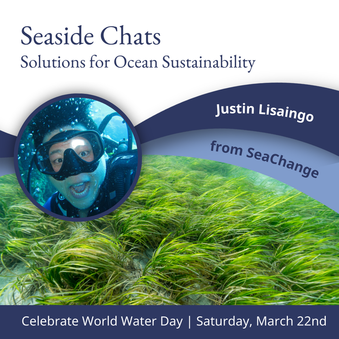Seaside Chats: Solutions for Ocean Sustainability